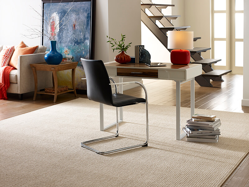 Open Floor Carpet | Staff Carpet