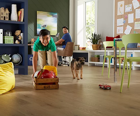 Pet friendly flooring | Staff Carpet