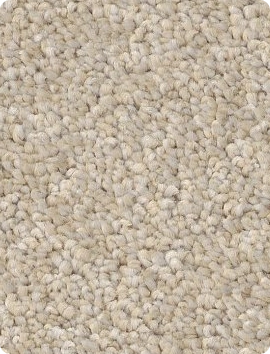 Carpet | Staff Carpet