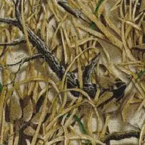 Carpet | Staff Carpet